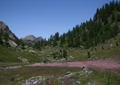 Hiking tour maison grand maman
