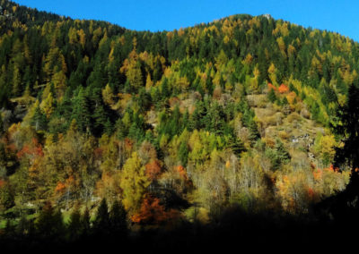 Hiking tour maison grand maman