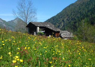 Hiking tour maison grand maman