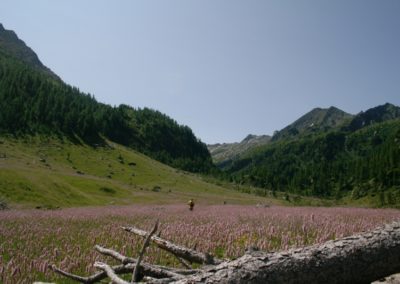 Hiking tour maison grand maman